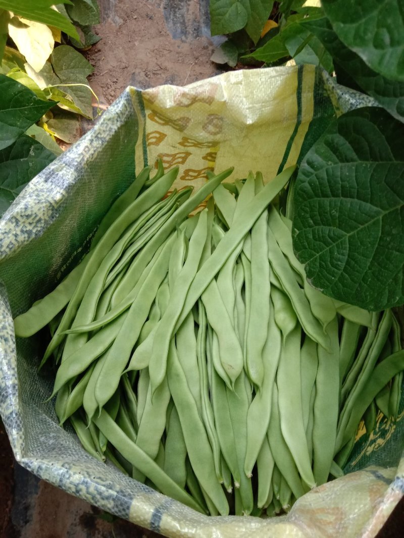 蔬菜