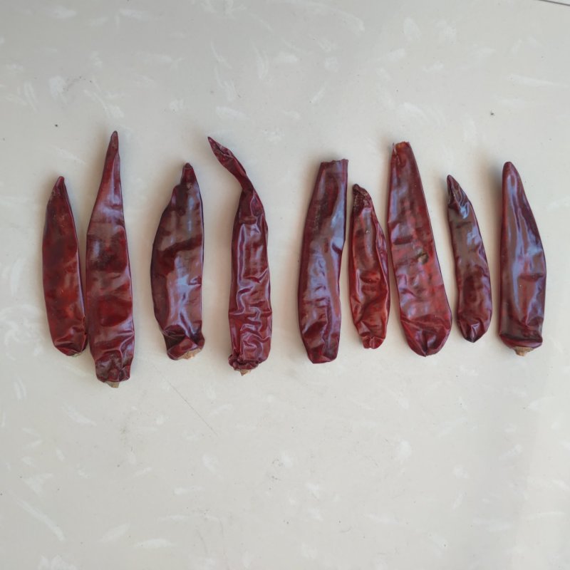 吉林洮南金塔干辣椒9成干以上精品