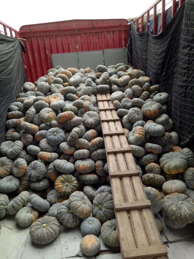 香芋南瓜