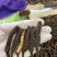 藏区冬虫夏草2021年新鲜虫草0.3-1.4g高海拔虫草