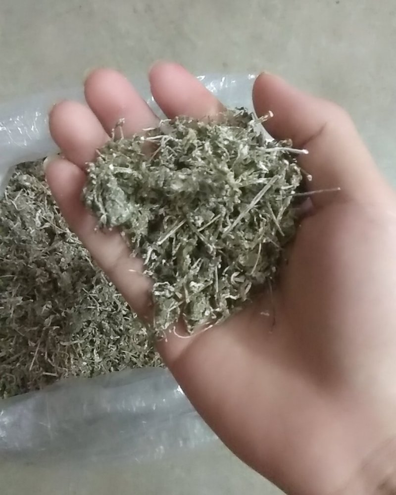 野生藤茶