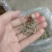 野生藤茶