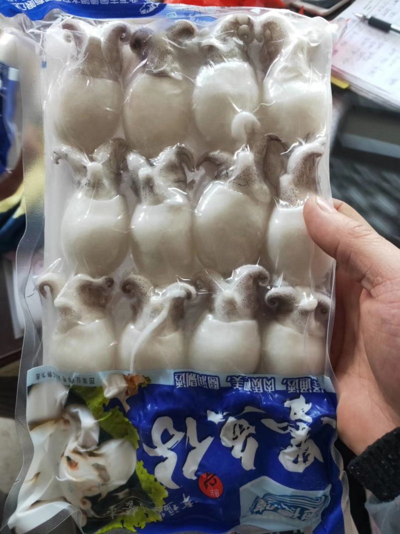 新鲜去内脏墨鱼仔大墨鱼仔小墨鱼仔鲜活速冻墨鱼仔