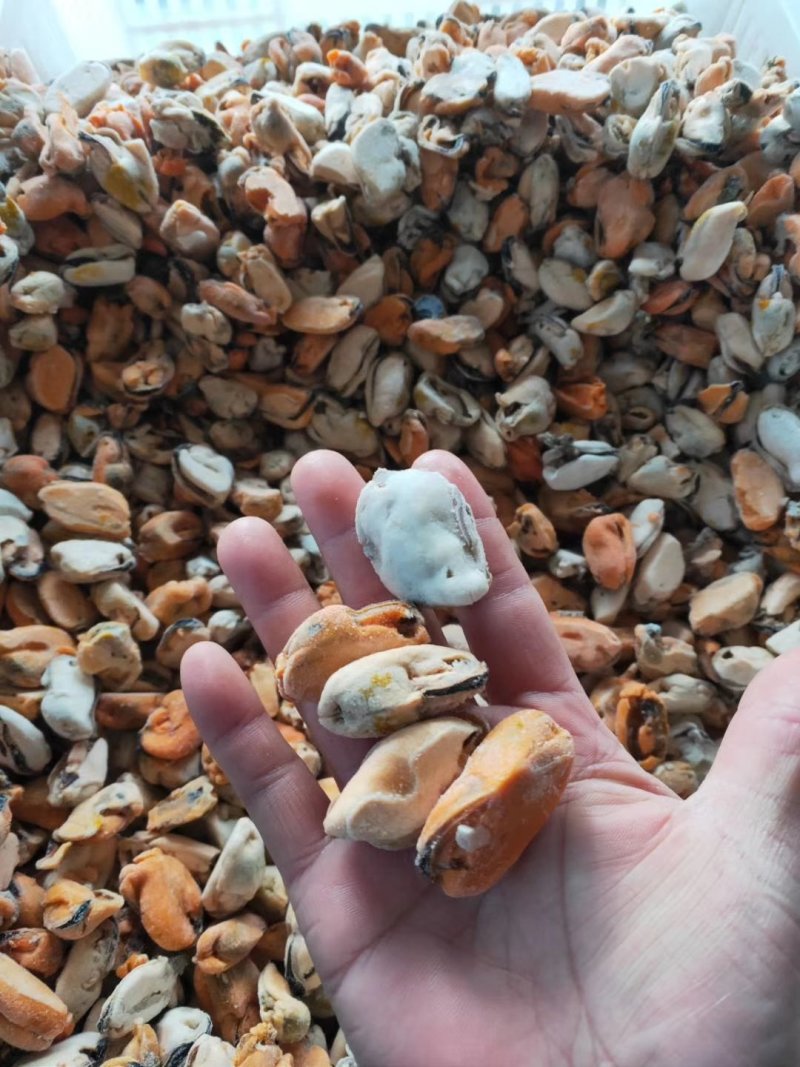 【现剥】海虹肉鲜活现剥冷冻青口贝水产淡菜海鲜