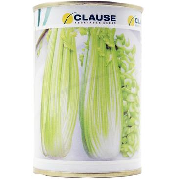 皇后西芹种子法国CLSUE公司原装进口西芹种子100克