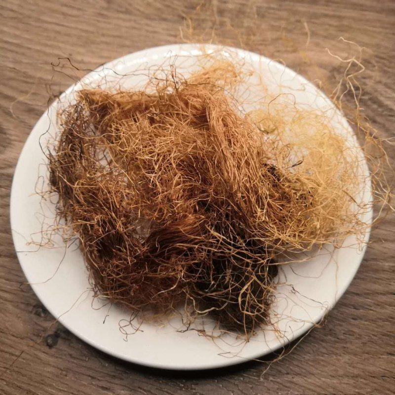 玉米须中药材批发玉米须
