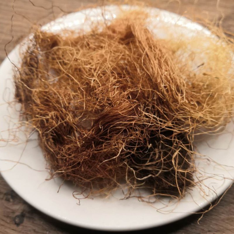 玉米须中药材批发玉米须