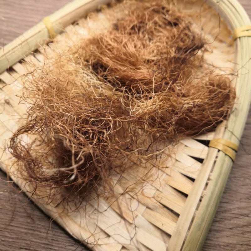 玉米须中药材批发玉米须