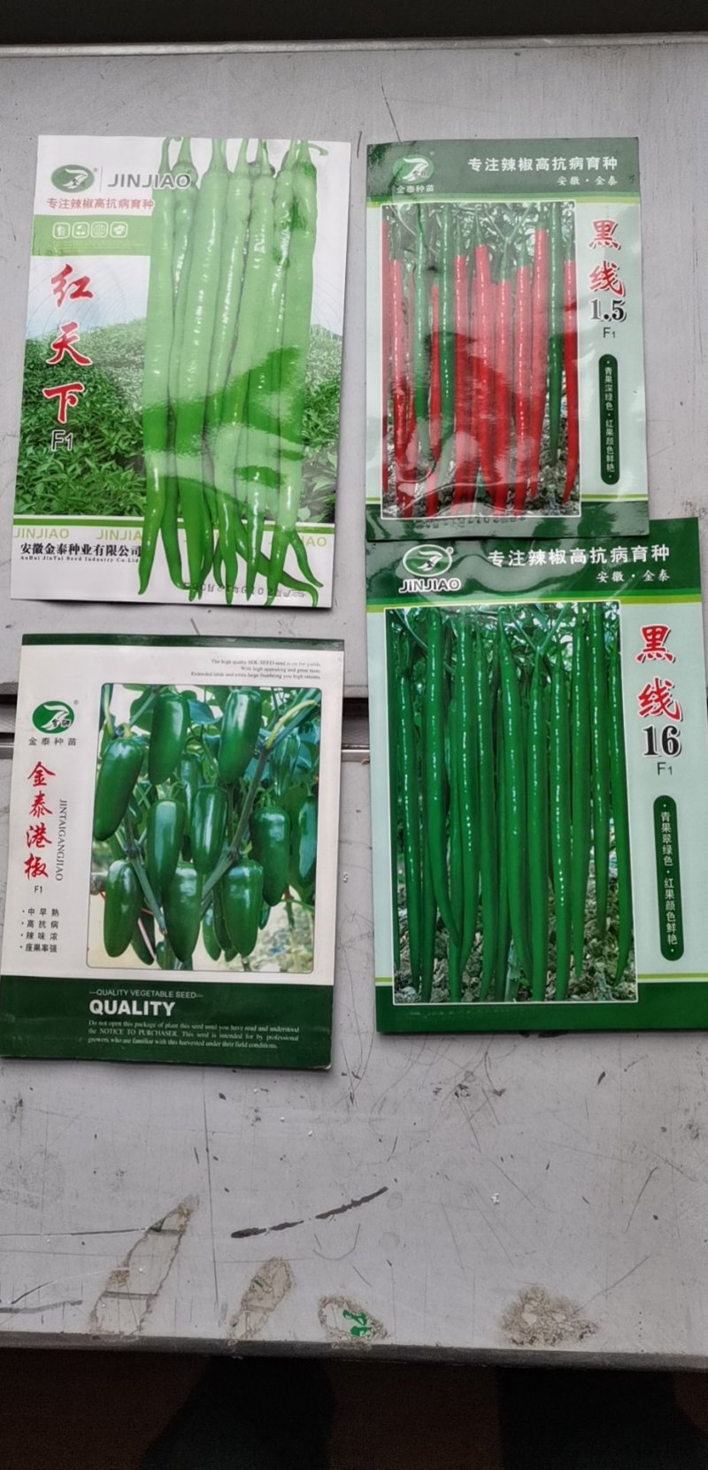 【金骄九号】薄皮精品线椒种子辣椒种子8号椒基地供货