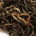 古树滇红茶叶红茶特级浓香型晒红云南凤庆散装礼盒罐袋装