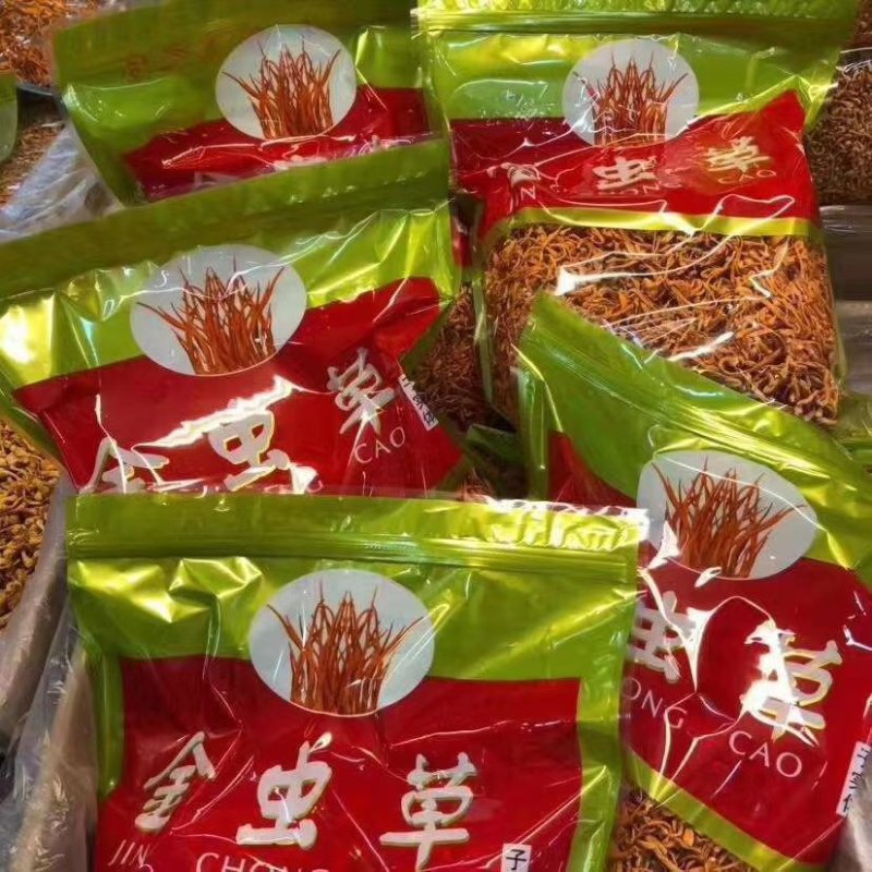 孢子头金虫草排草包邮支持代发量大从优