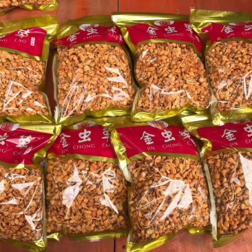 孢子头金虫草排草包邮支持代发量大从优
