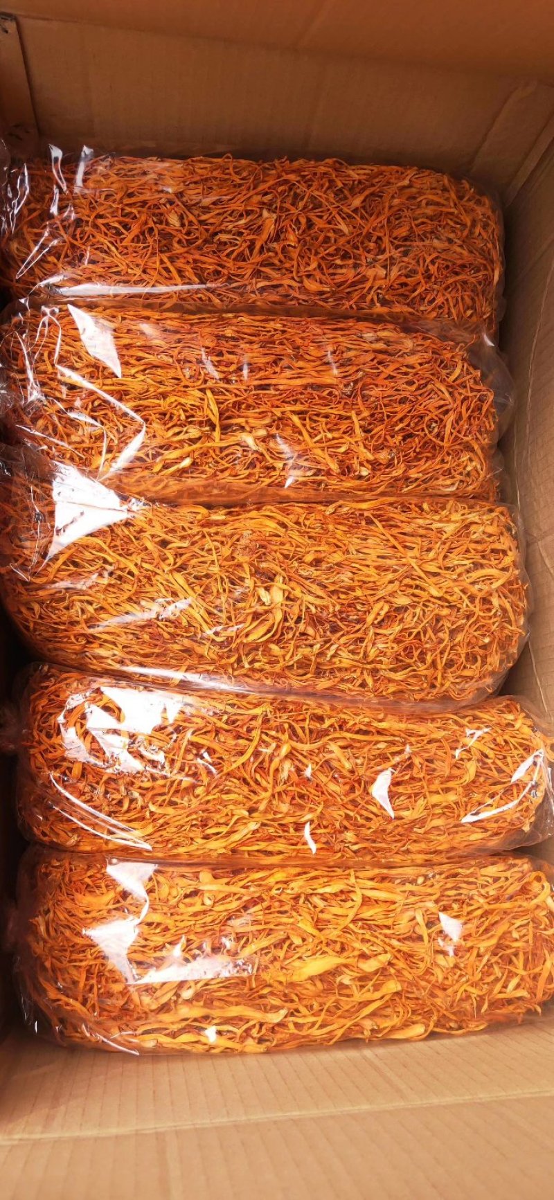 孢子头金虫草排草包邮支持代发量大从优