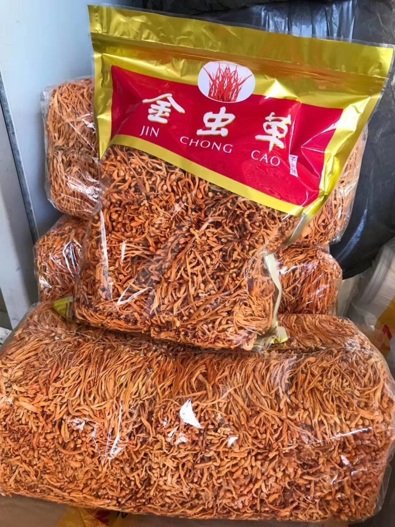 孢子头金虫草排草包邮支持代发量大从优