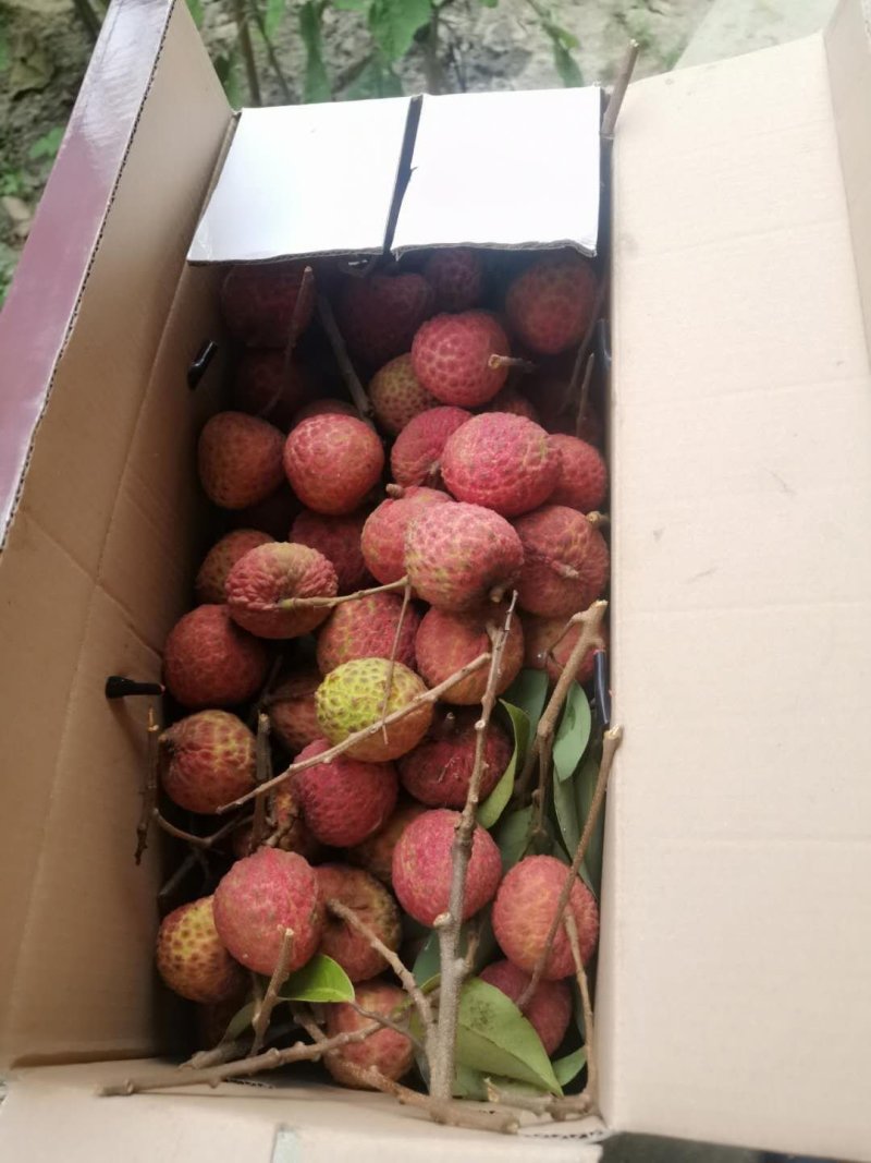 荔枝糯米糍