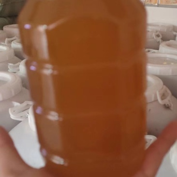 枣花蜜【热卖中】枣花蜂蜜，天然无添加。欢迎咨询。
