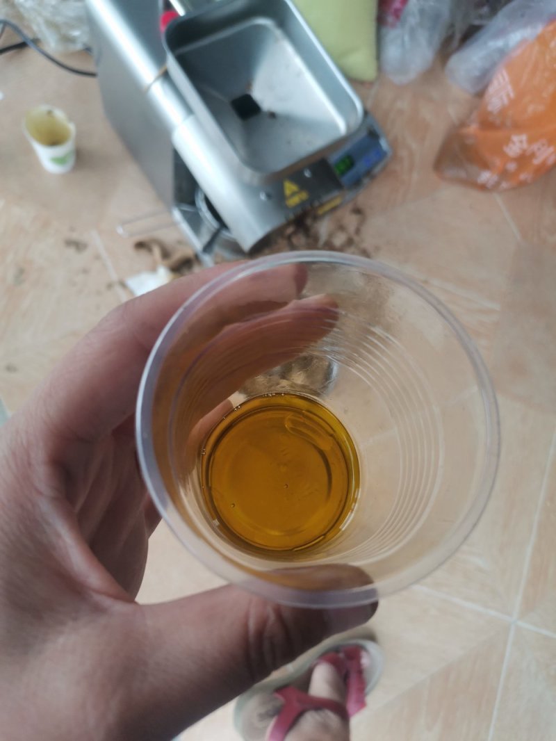 油菜籽陕西汉中洋县本地油菜籽榨油颜色黄靓口味香浓