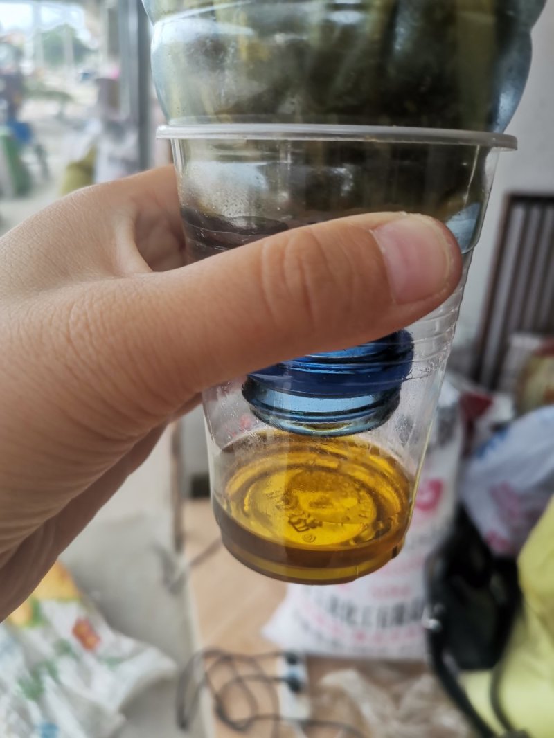 油菜籽陕西汉中洋县本地油菜籽榨油颜色黄靓口味香浓