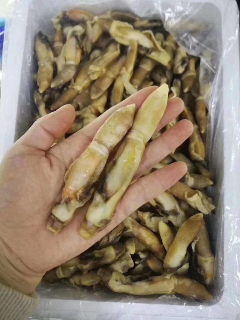 蛏子肉单冻开嘴