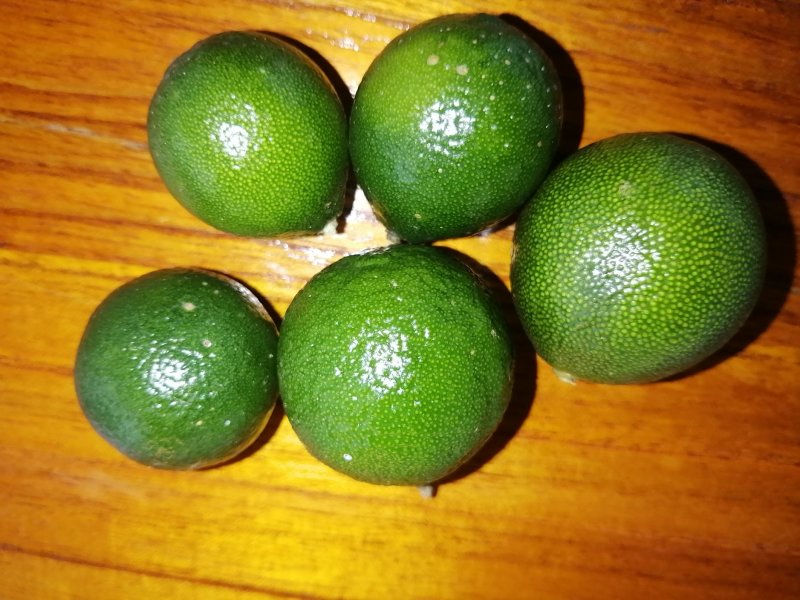 海南金桔，，，，，，