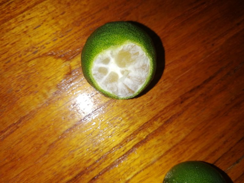 海南金桔，，，，，，
