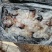 大量供应批发酒店食商超团购福利渤海湾捕捞海蜇丝海蜇头