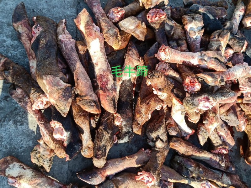 呼伦贝尔大草原特产牛杂羊杂