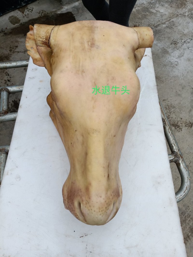 呼伦贝尔大草原特产牛杂羊杂