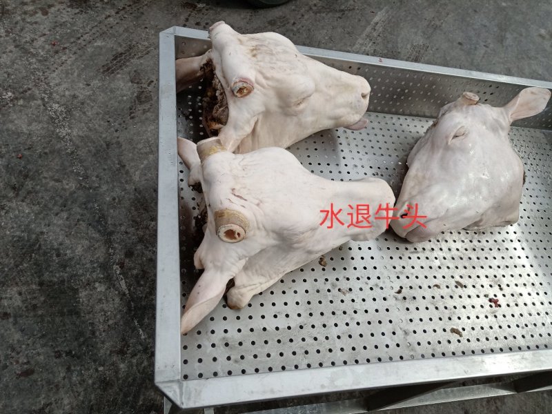 呼伦贝尔大草原特产牛杂羊杂