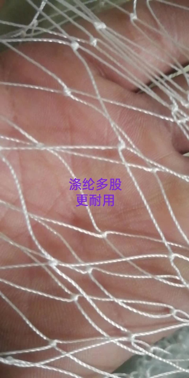 厂家生产果园防鸟网，池塘谷地防护网，规格齐全