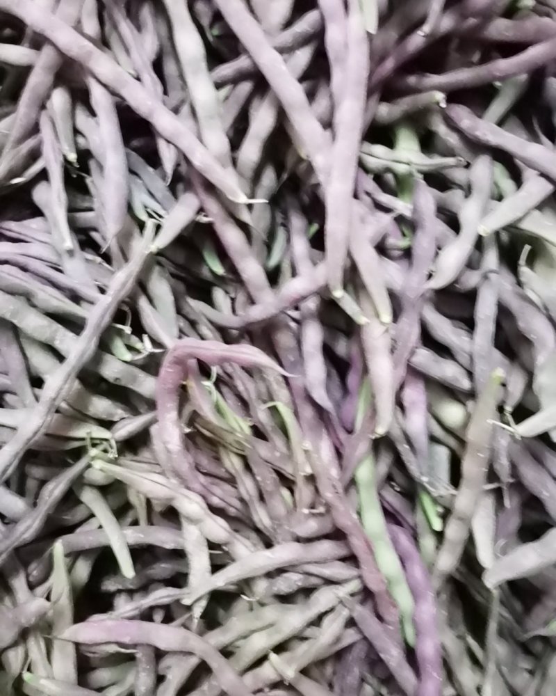 红豆角