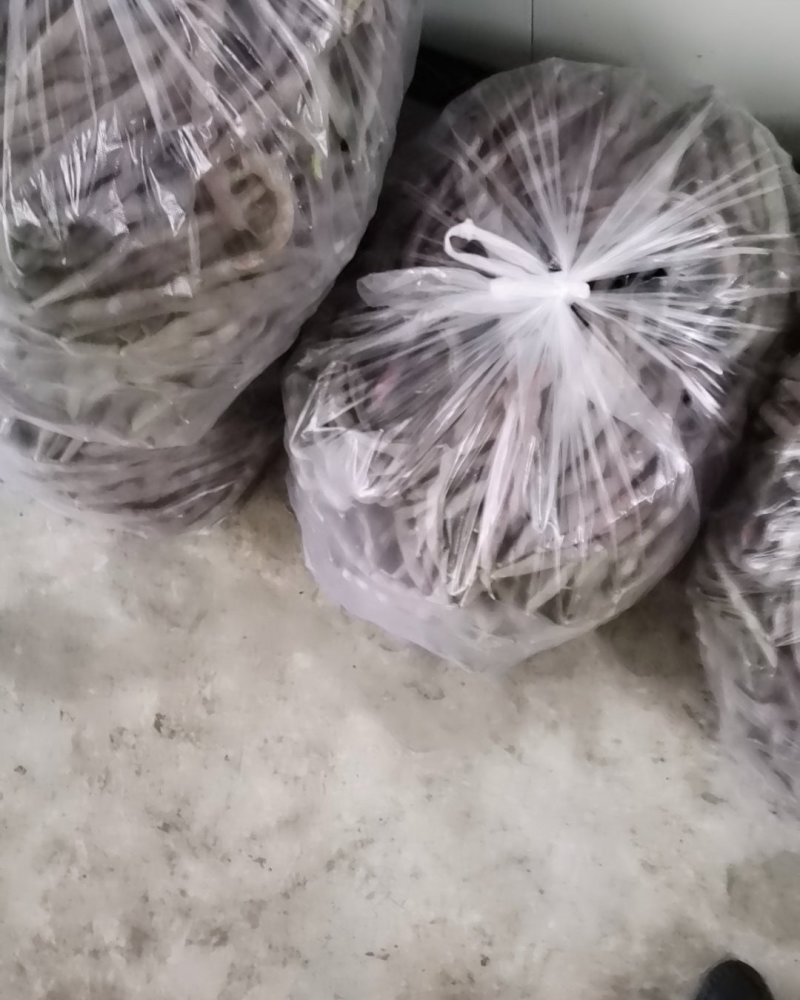 红豆角