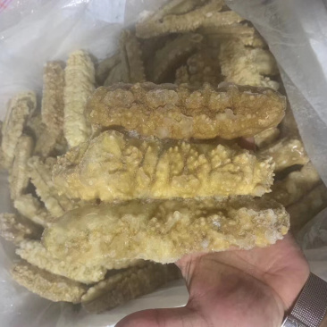 精品黄玉参货源充足专供酒店