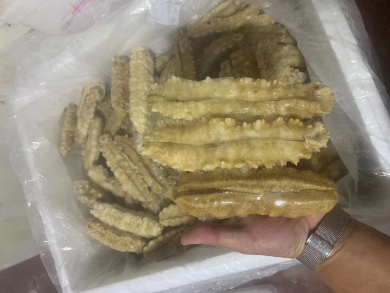 精品黄玉参货源充足专供酒店