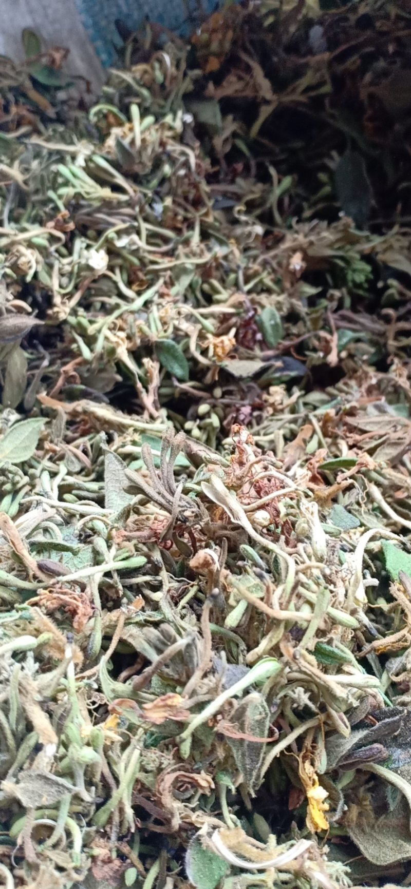 金银花统花