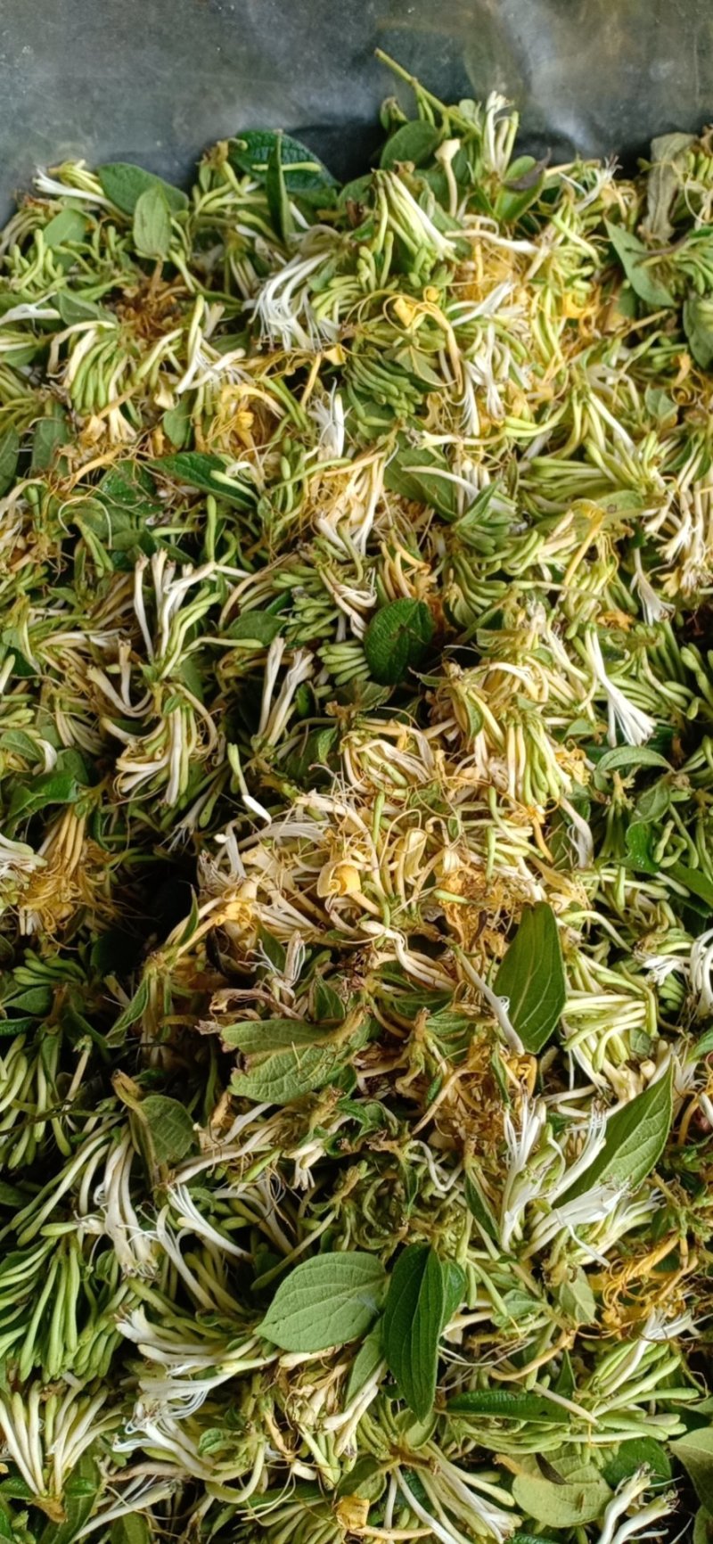 金银花统花