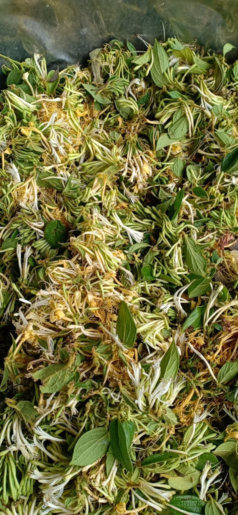 金银花统花