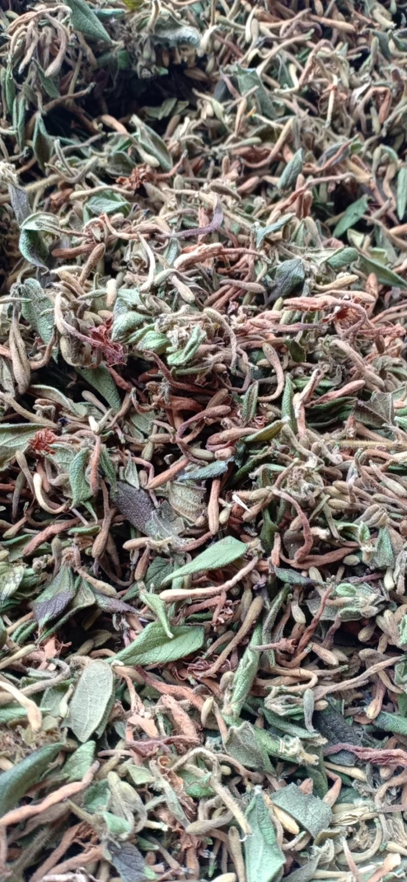 金银花统花
