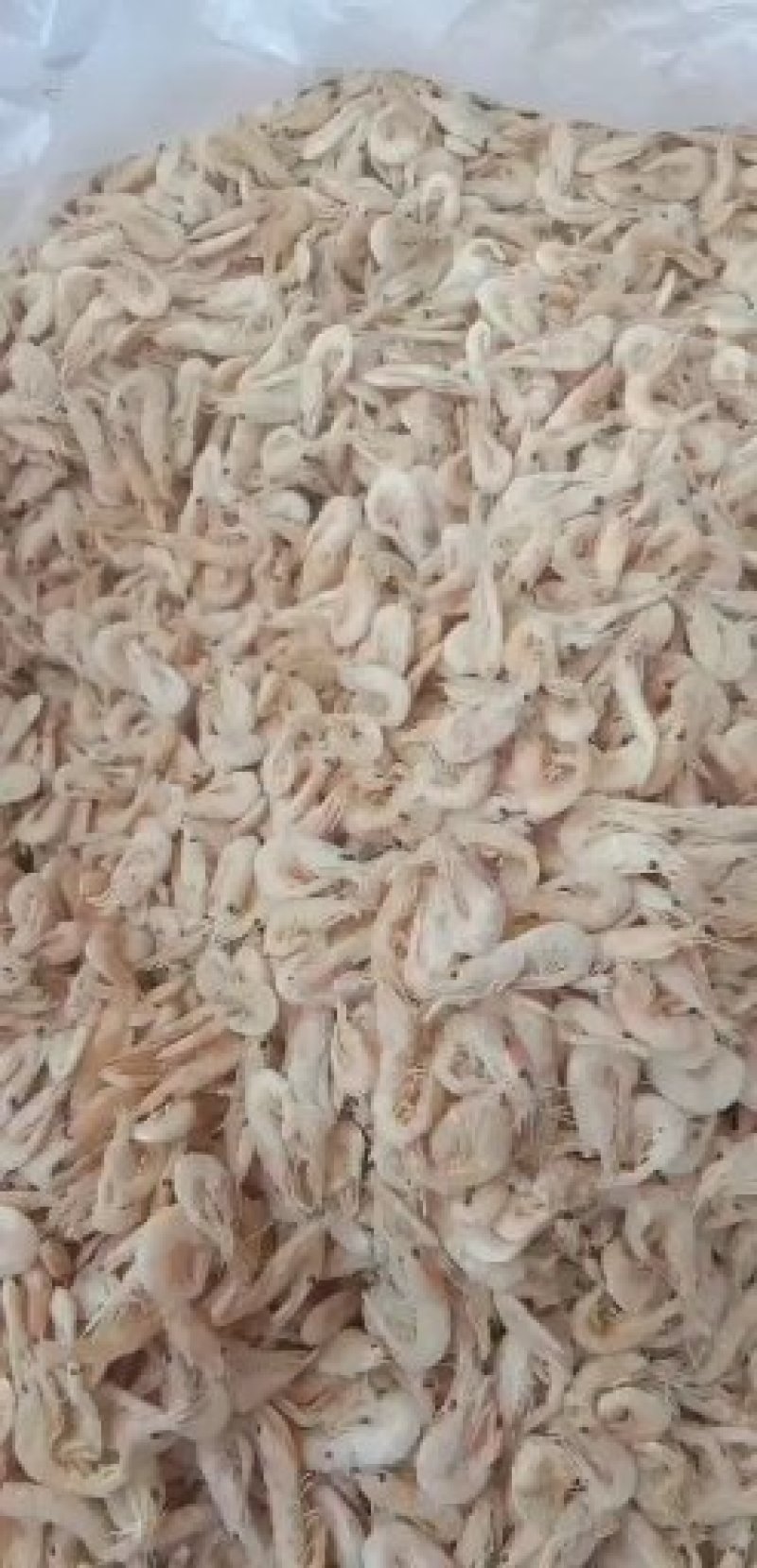 虾皮，特级虾皮，质量保证