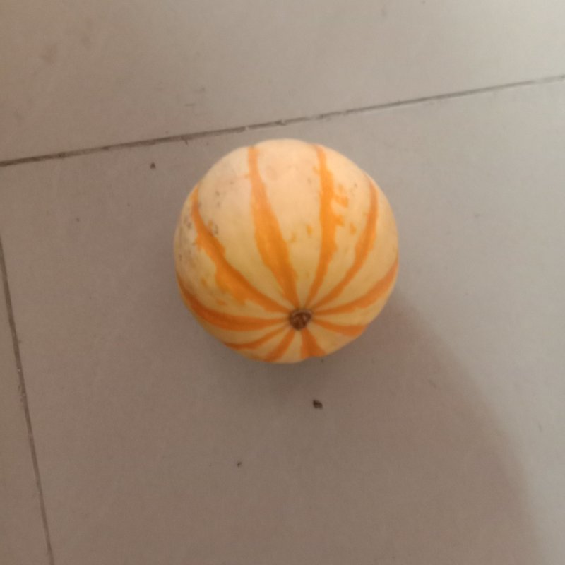 太阳瓜，南瓜