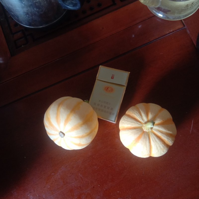 太阳瓜，南瓜