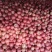 硬粉西红柿