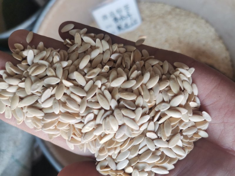 黄瓜子无硫熏药用非种子可配比生菜籽打粉