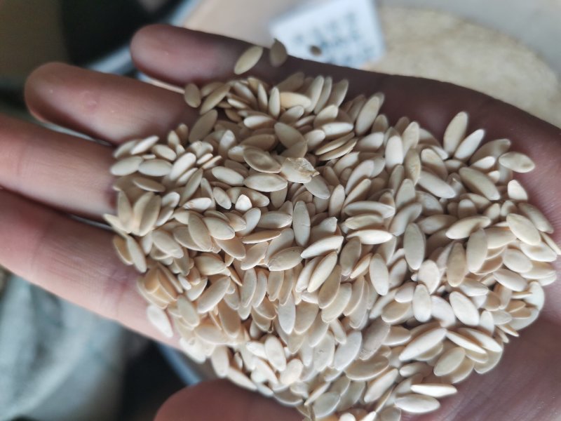 黄瓜子无硫熏药用非种子可配比生菜籽打粉