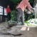 甘蓝大量上市，货源充足，需要的联系我，（视频看货）