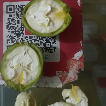 鲜食核桃