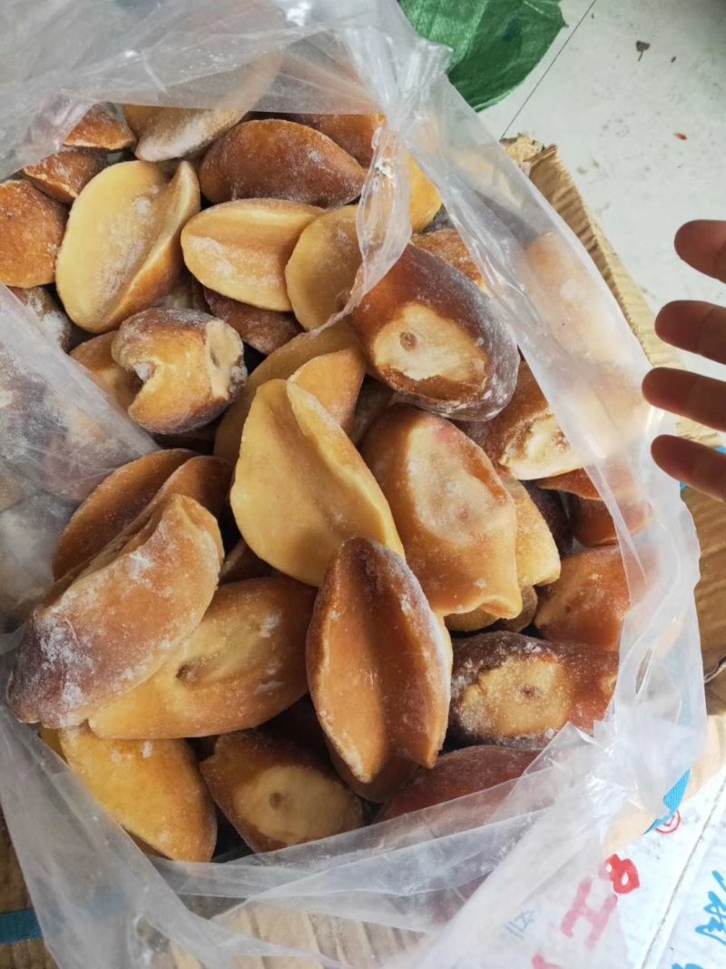 黄金澳鲍黄金鲍鱼海鲜水产批发。有量有价
