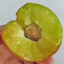 半边红李子