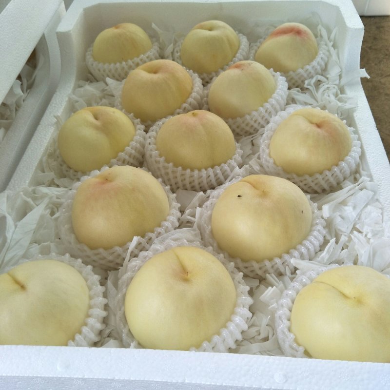 新沂踢球山水蜜桃大量走车优惠了