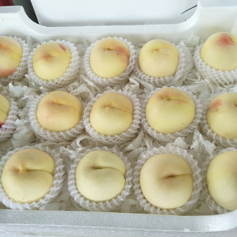 新沂踢球山水蜜桃大量走车优惠了